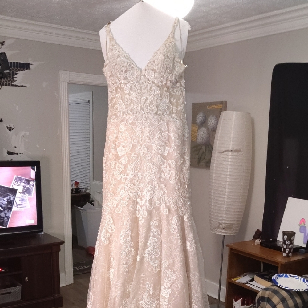 Elegant Cream Lace Wedding Dress - Picture 1 of 10